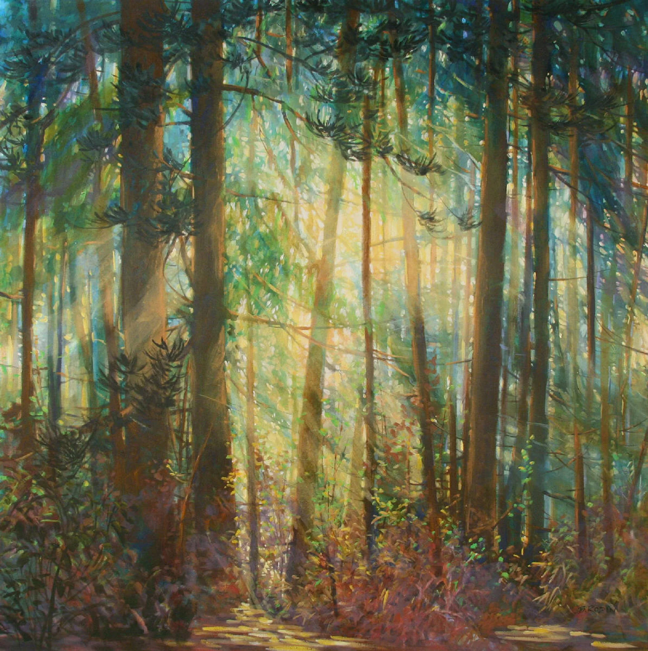 Forest Light Series: A Beautiful Moment