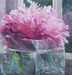 Peony Study