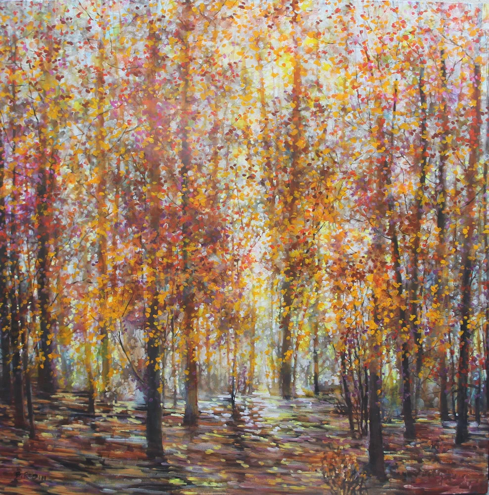 Forest Light Series: Shadow and Light