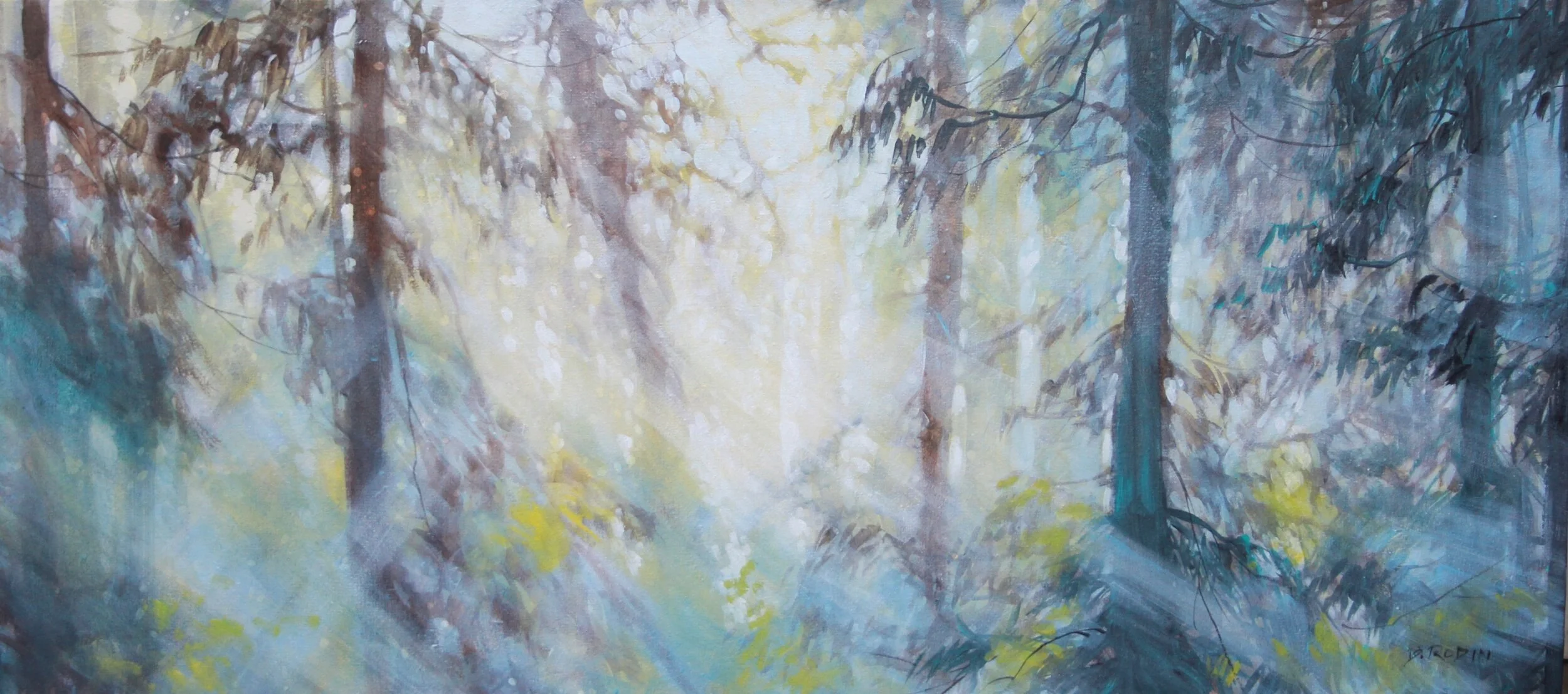 Forest Light Series: Mist