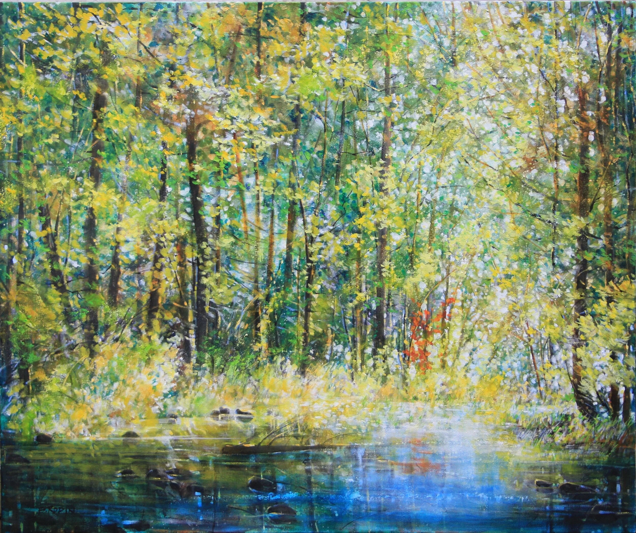 Forest Light Series: Canoeing Spot