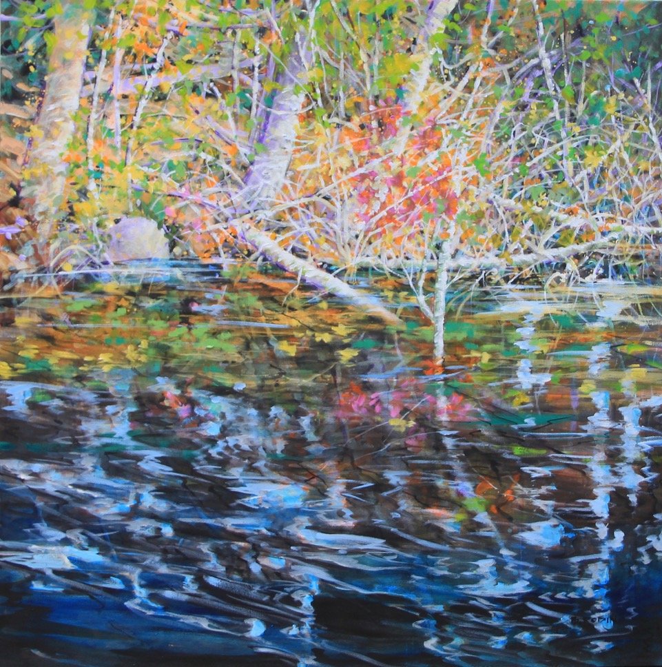 Birch, 48 x 48, acrylic on canvas, wide stretcher ready to hang