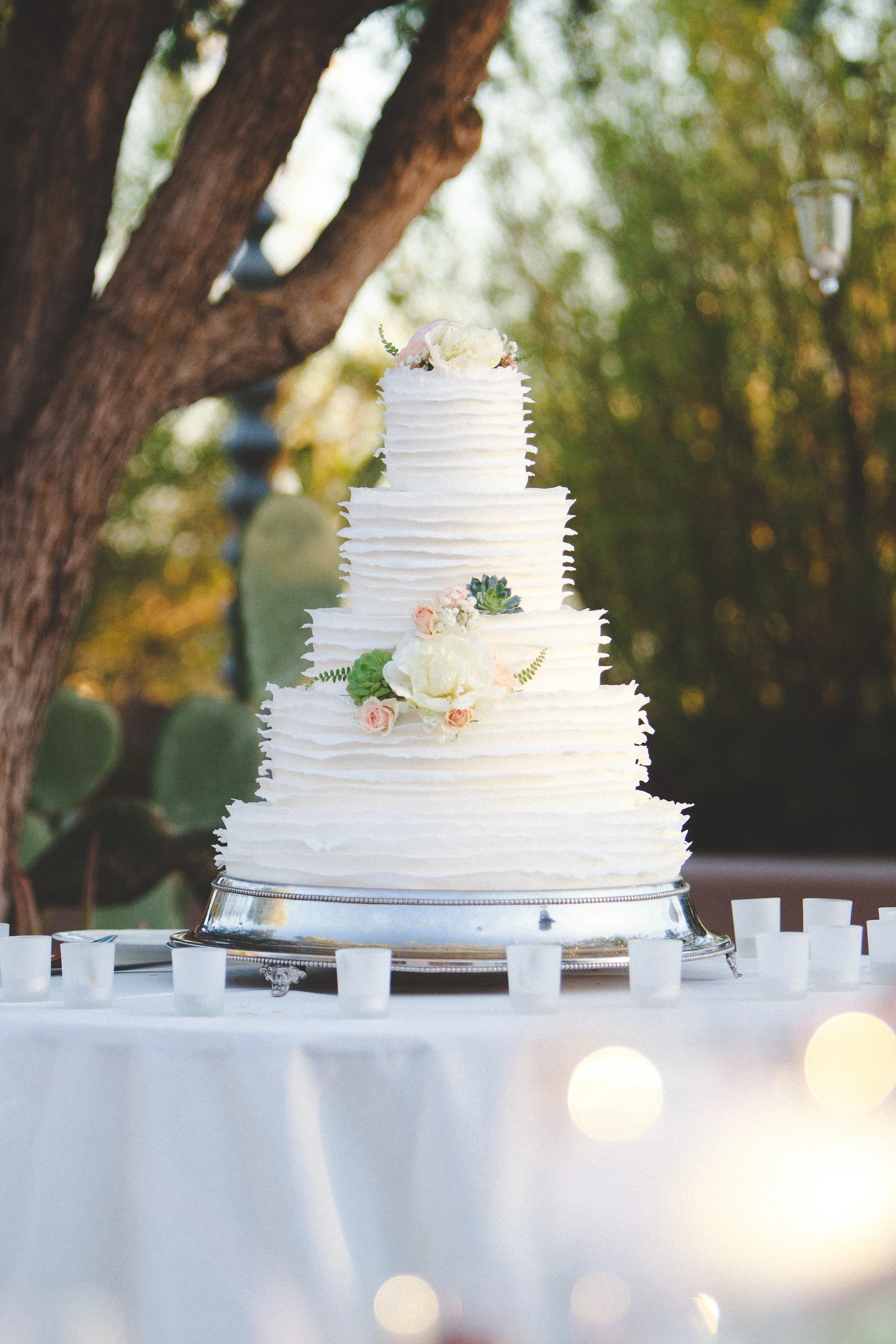 Arizona-Wedding-Photographer