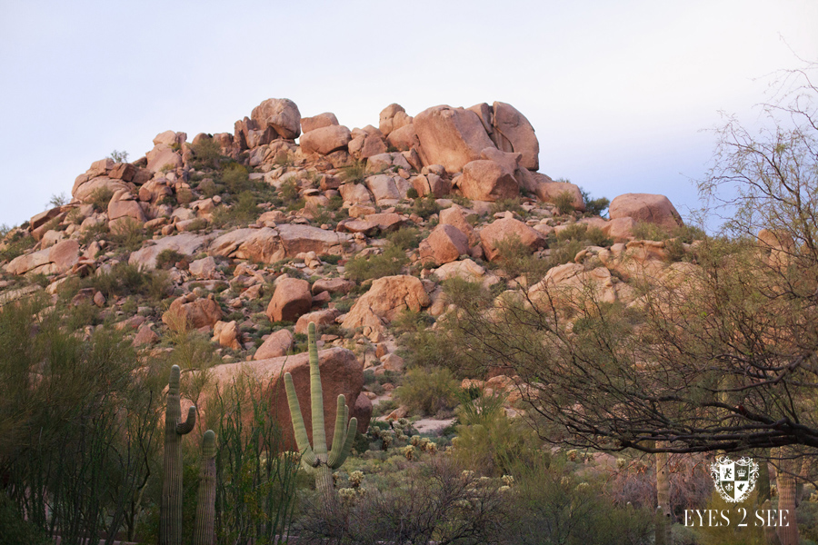 AZ Scottsdale Family Portraits Photography