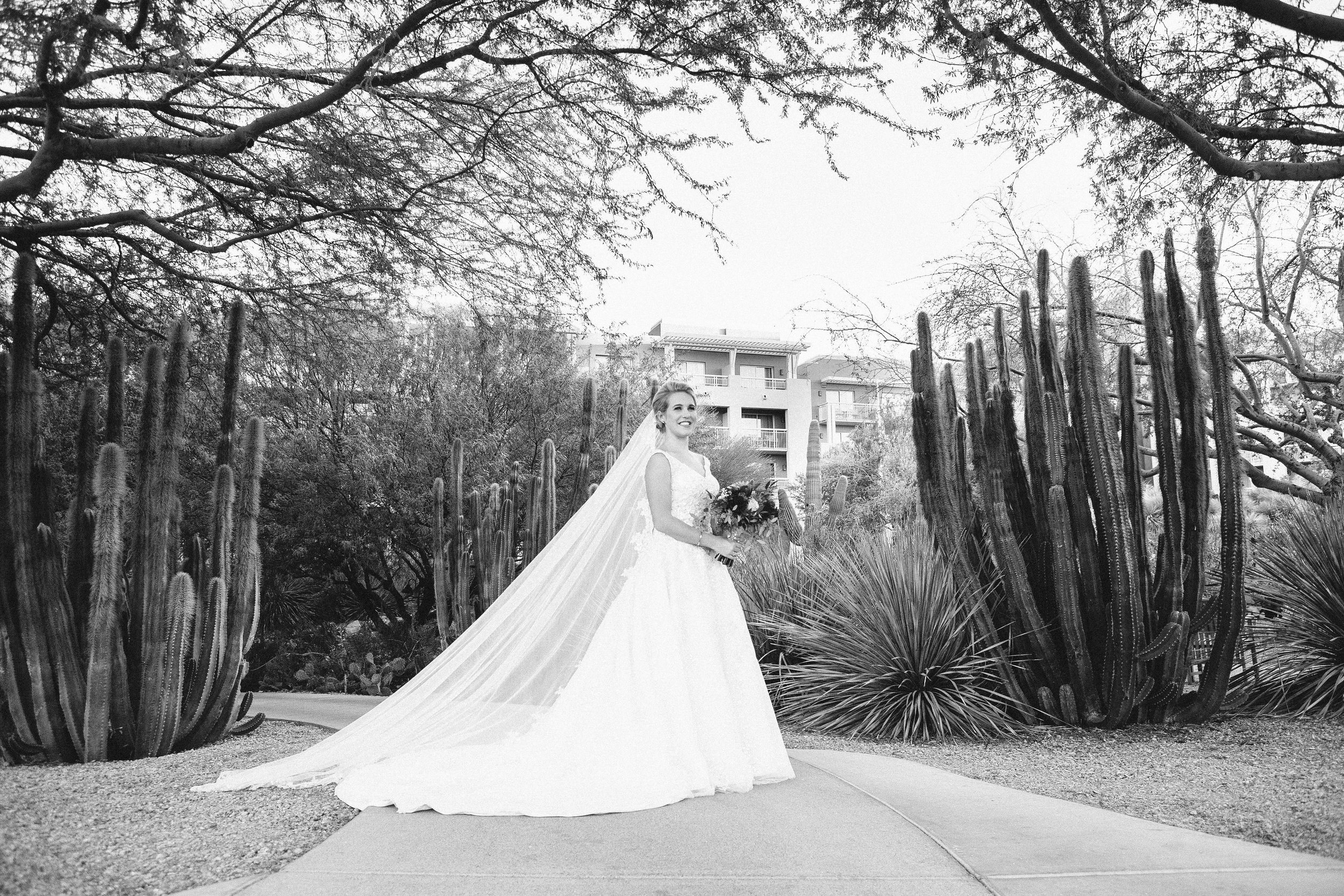 Phoenix Wedding Photography : Justin + Shae