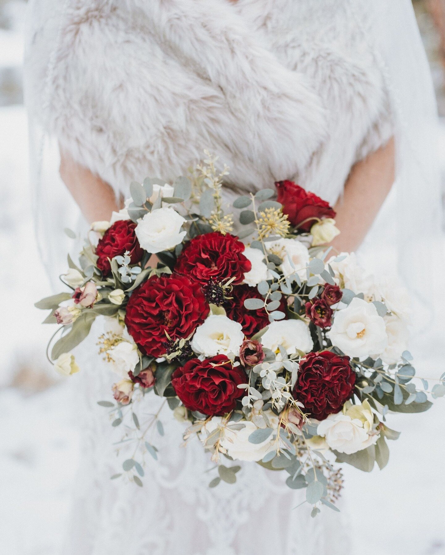 Dreaming of winter florals. These colors are amazing!