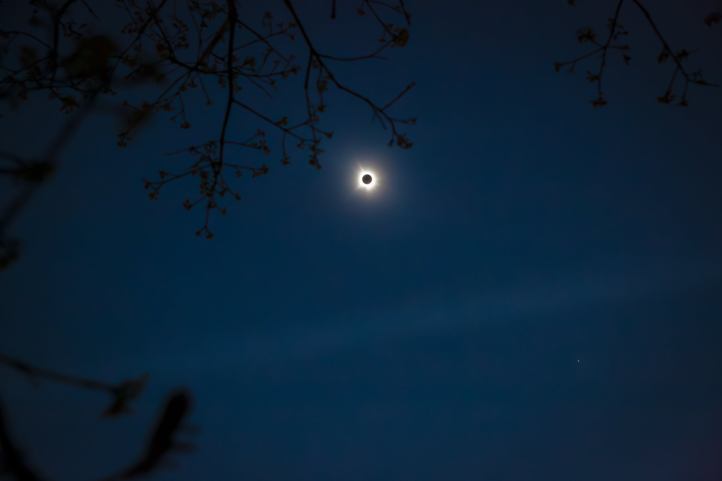 solar eclipse done for website 2 (1 of 1)-7.jpg