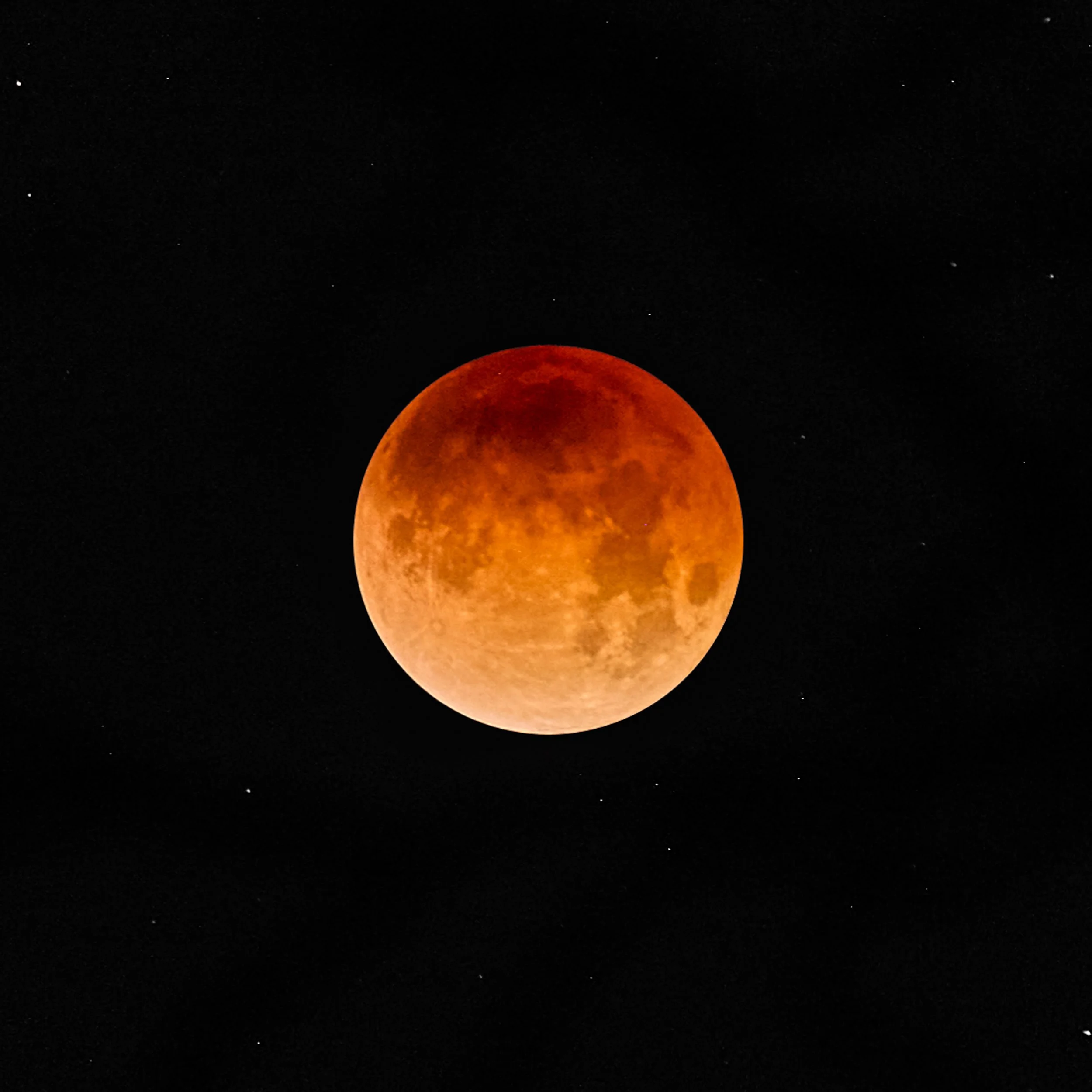 2006 moon eclipse finl.jpg