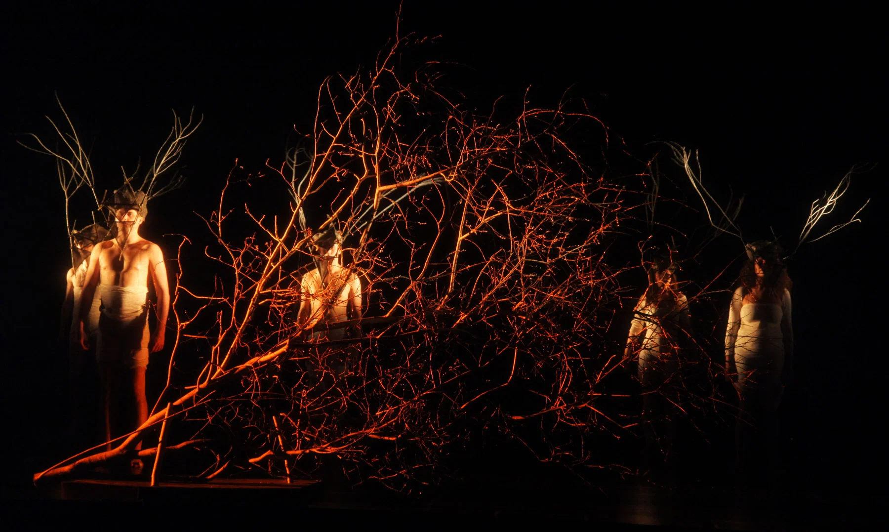 whisper branches.jpg