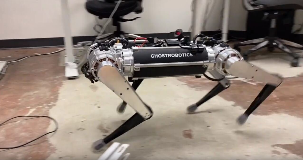 expensive robot dog
