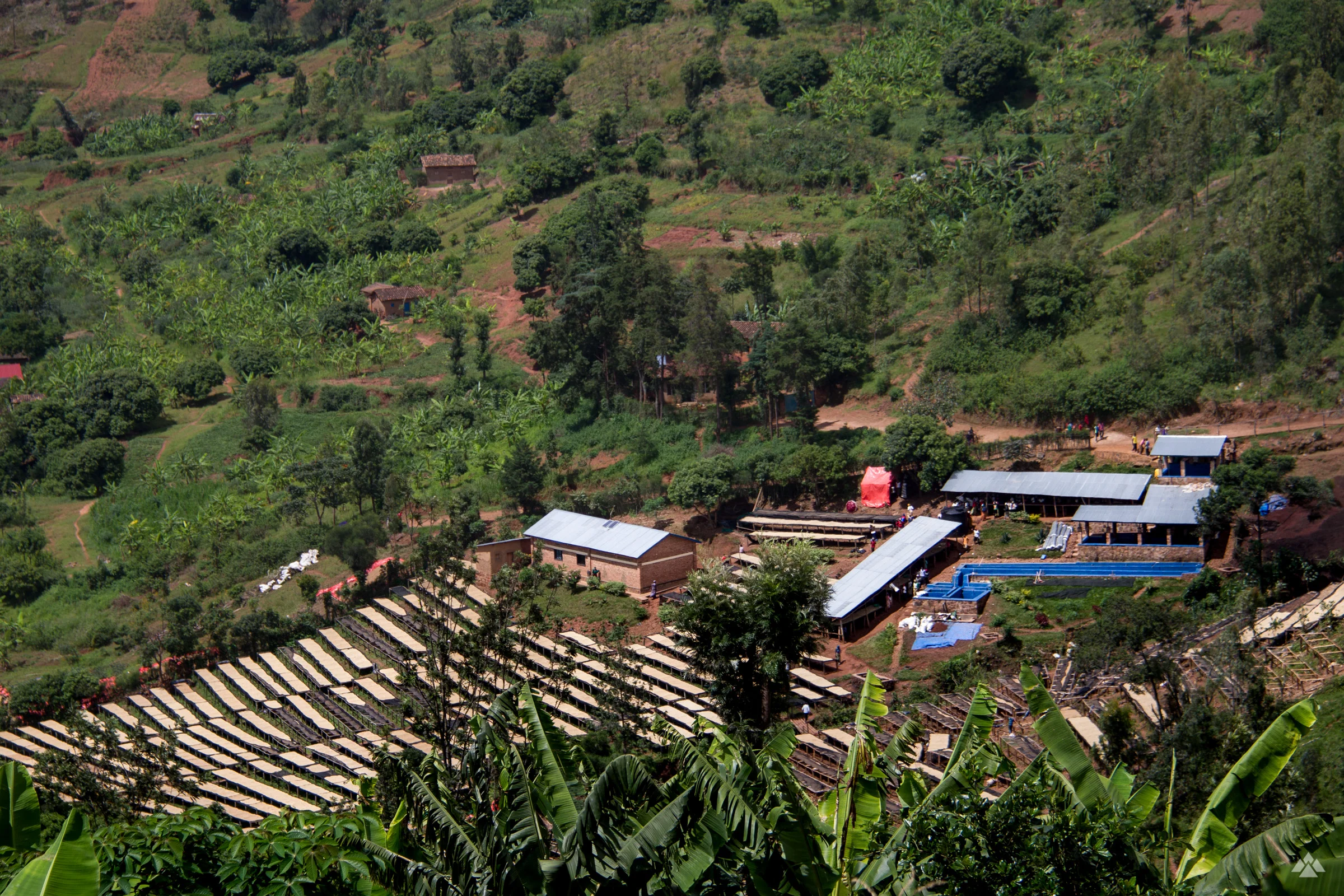 Bumbogo 2018 IMG_6885.jpg