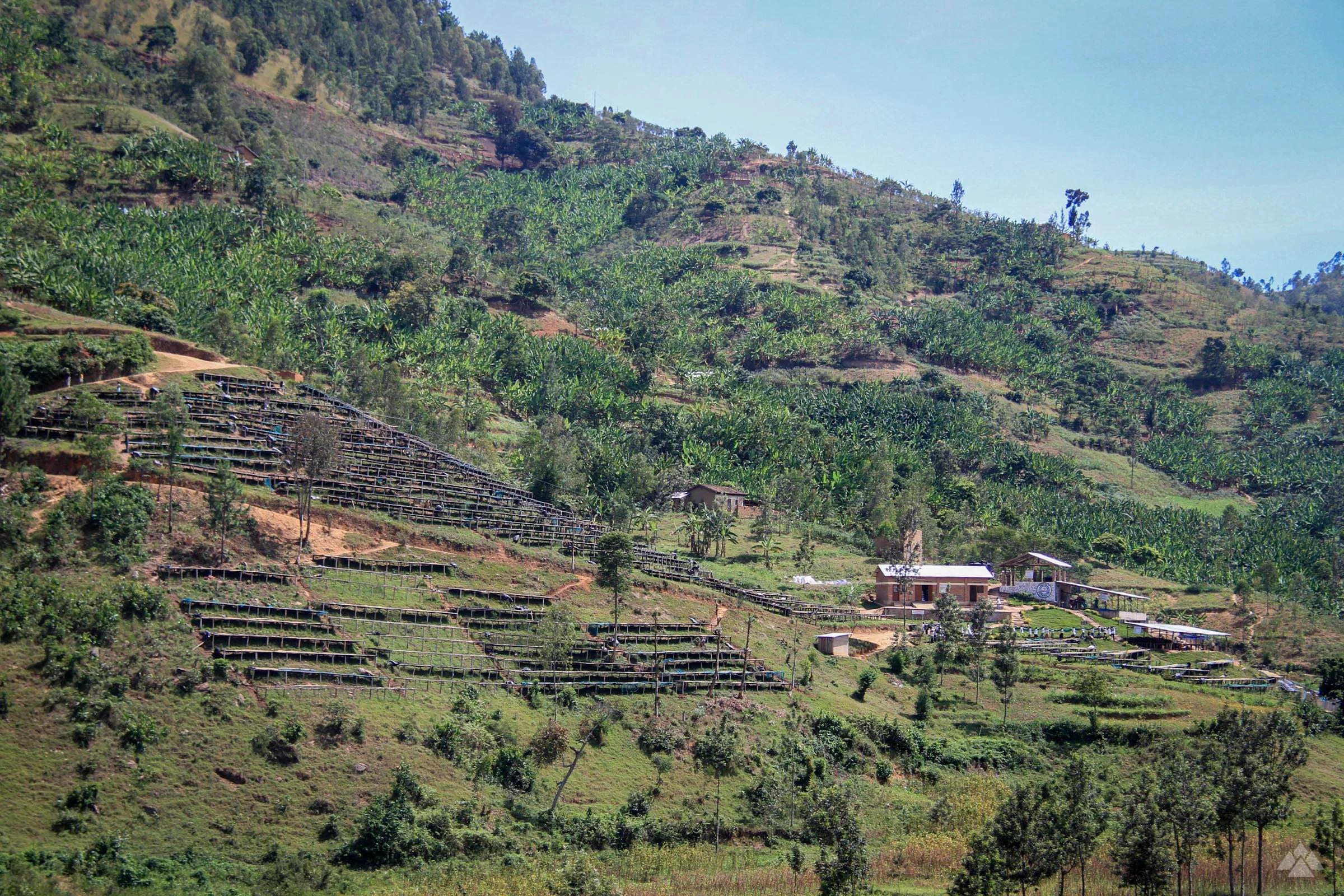 Kilimbi washing station and the surrounding hills