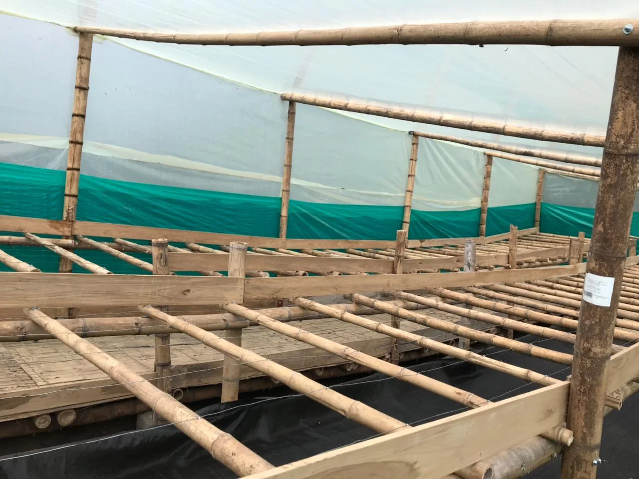 Villamaría drying beds6.jpg