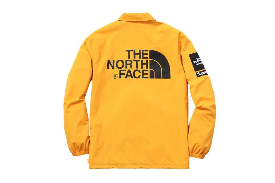 supreme north face 2015
