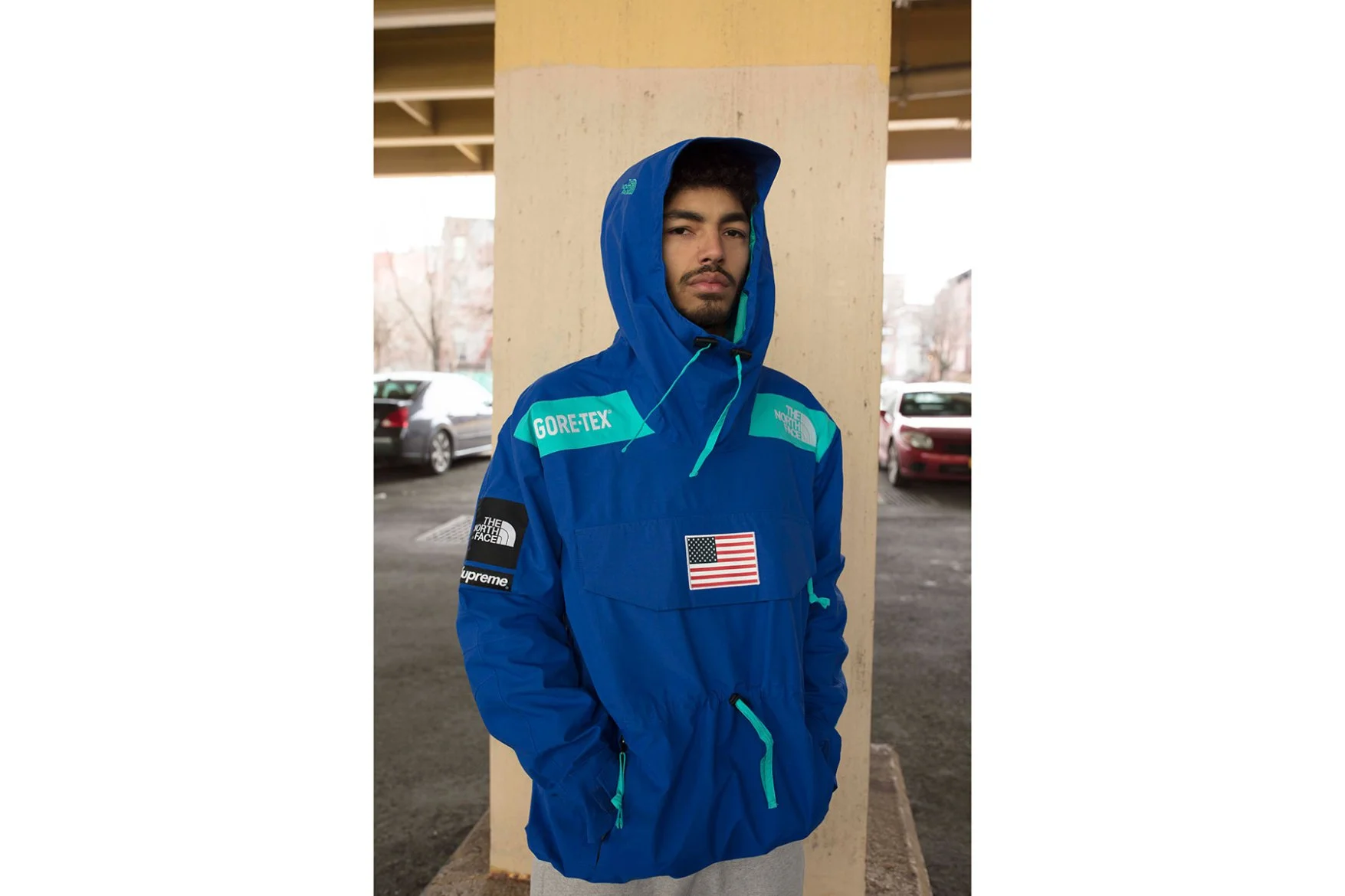 supreme the north face 2017