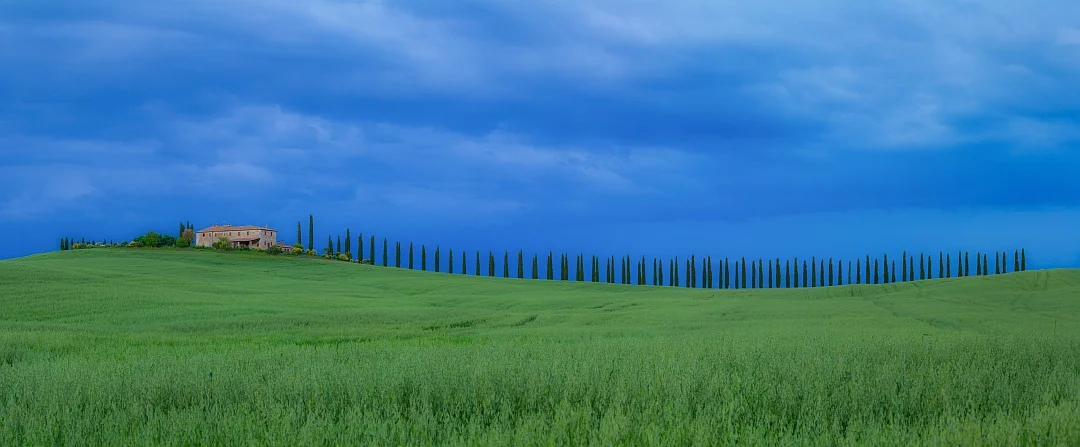 L'Essenziale_resized.jpg