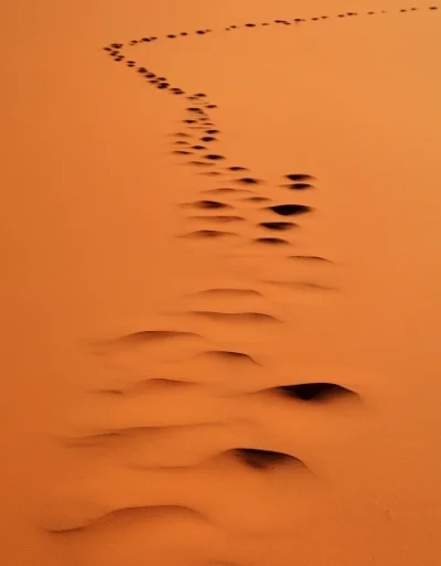 The departure_resized.jpg
