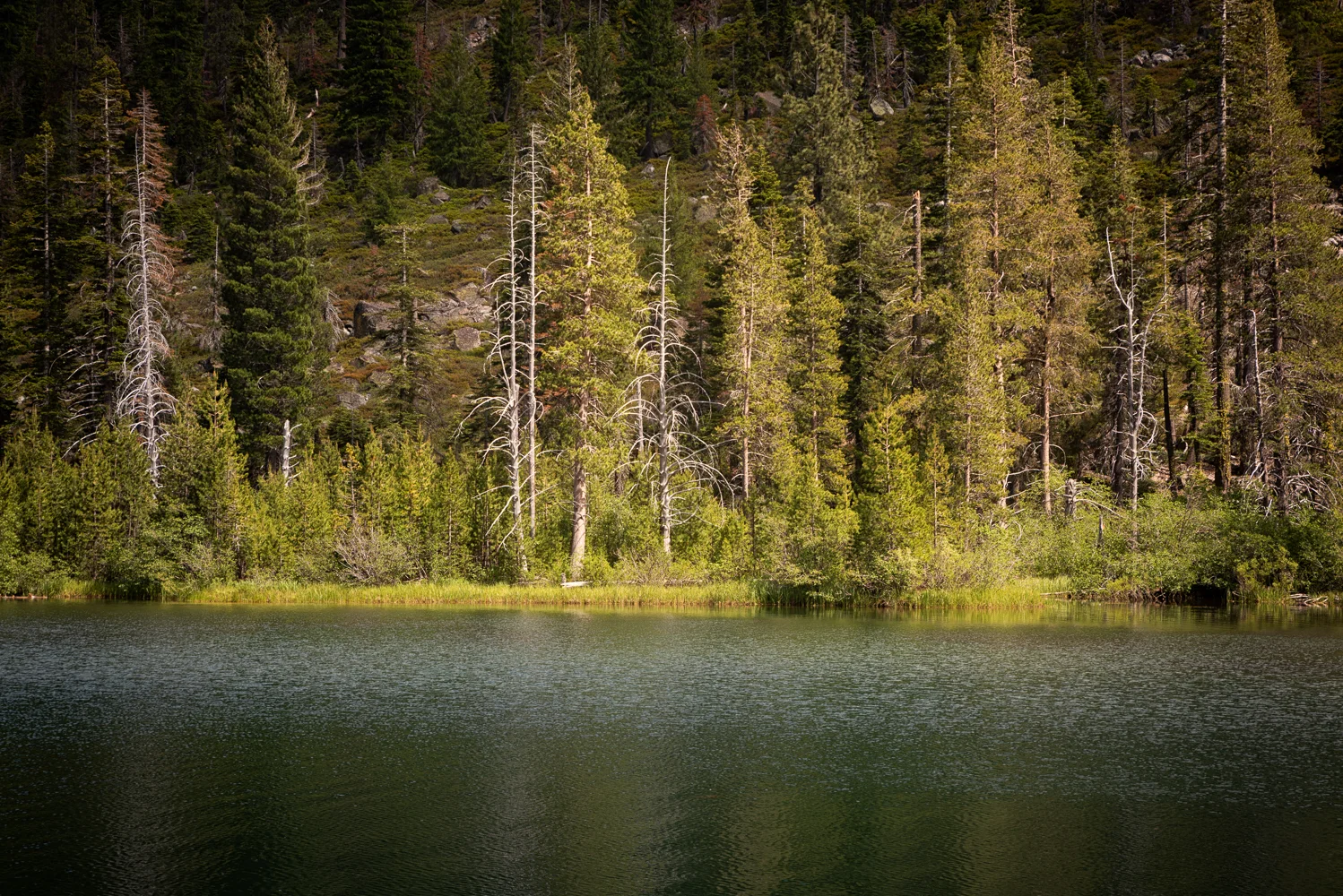 Lower Sardine Lake below the Sierra Buttes.