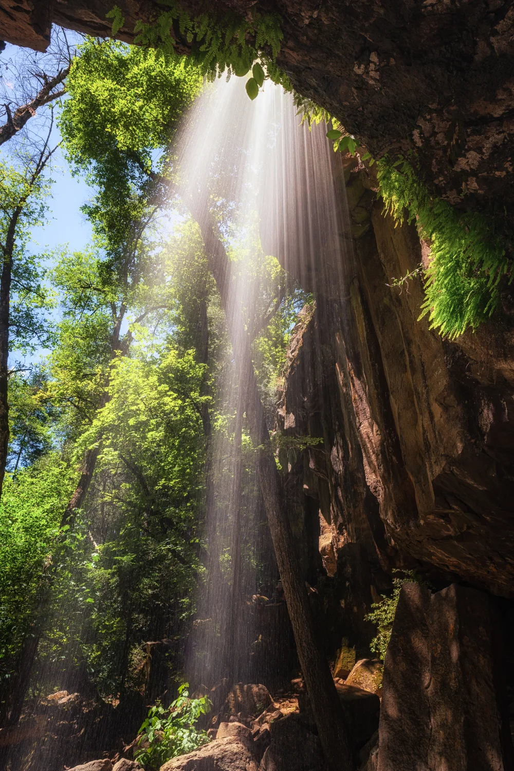 Charming Hedge Creek falls with difficult direct light. I liked it nonetheless!