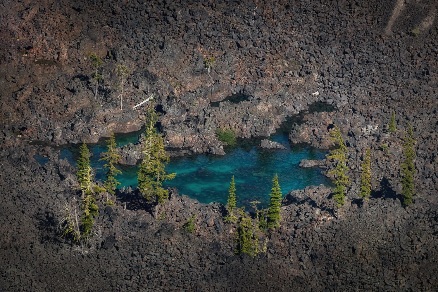 It is weird how something that is this new (geologically) appears to be this ancient and primordial: a shallow Pond of rainwater on Wizard Island in Crater Lake.