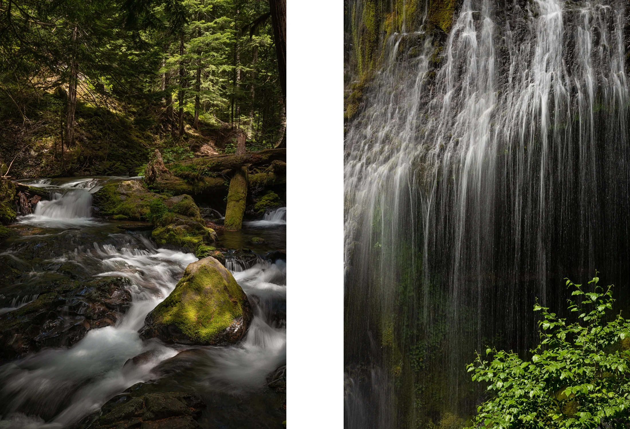 Panther Creek a few meters before the falls and a detail of the fan-like section of the cascade - both featuring various degrees of direct sunlight for the enjoyment of the photographer.