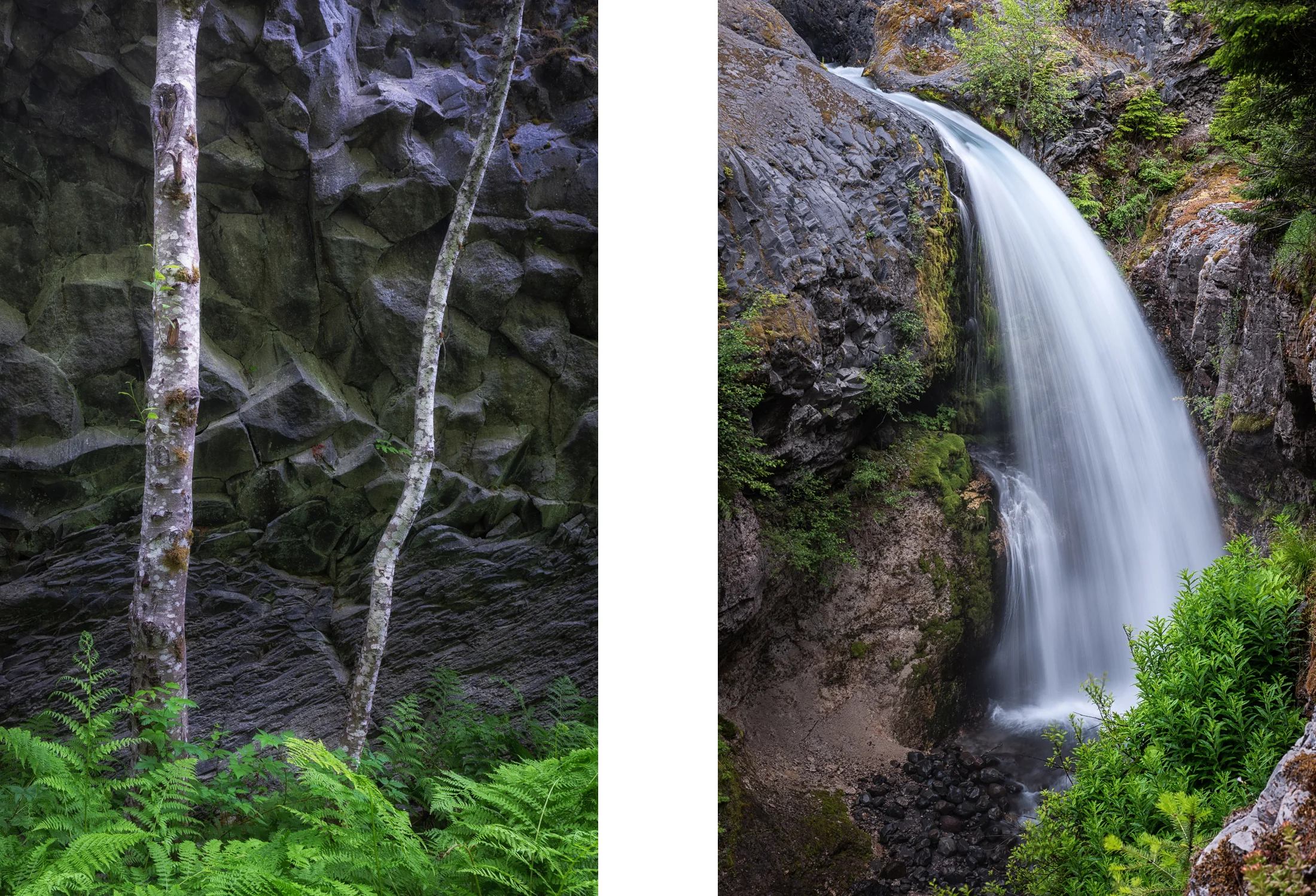 Volcanic rock is the common denominator in the landscape around Mt. St. Helens. I absolutely adored the way the virgin ferns, trees and water stood out agains the rock.