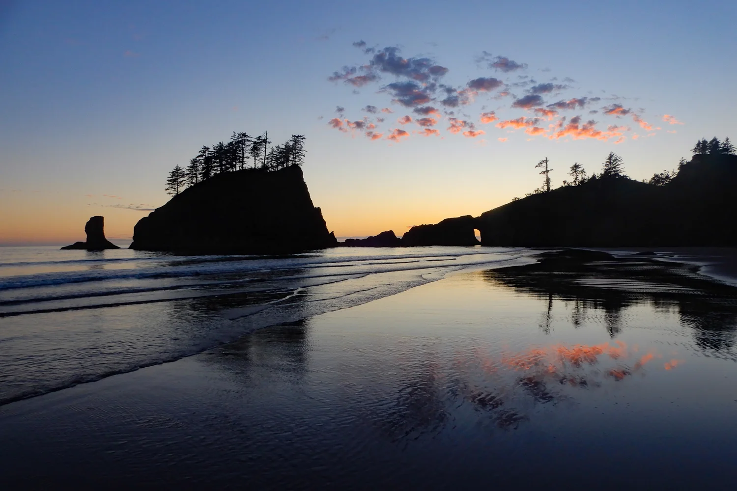 Oh, Olympic Coast! I’ll be back.