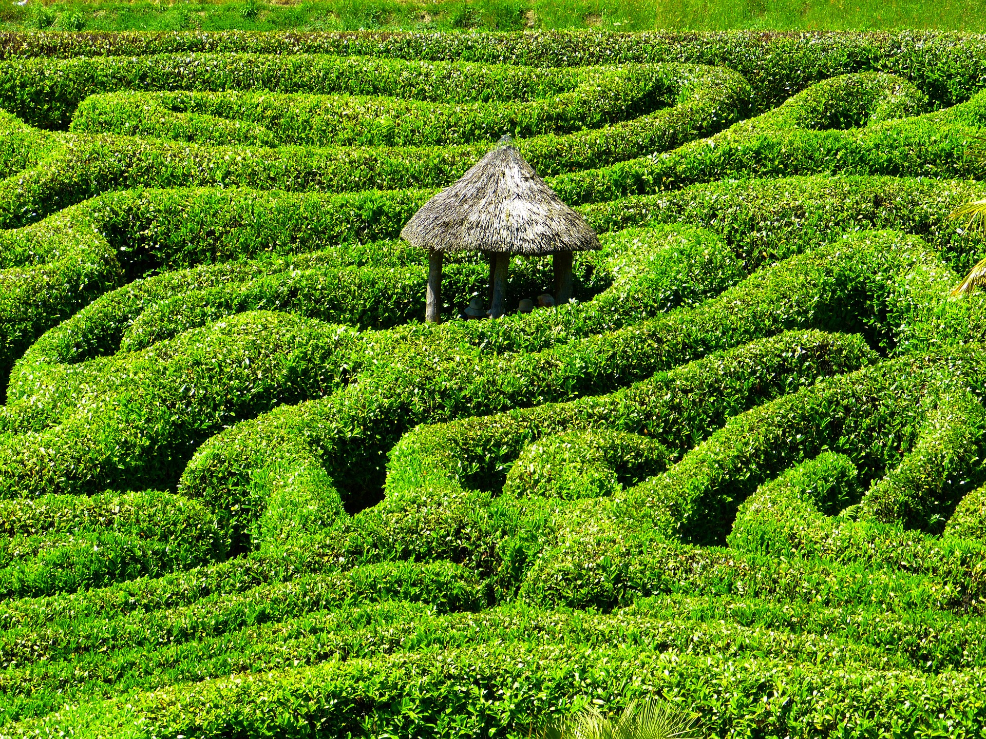 Without making your company purpose clear to your employees, you are no better off than a large company... your team will feel as if they are navigating a maze, unsure of where to turn and uncertain of how close they are to their goal.
