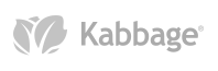20170314 Kabbage Logo.PNG