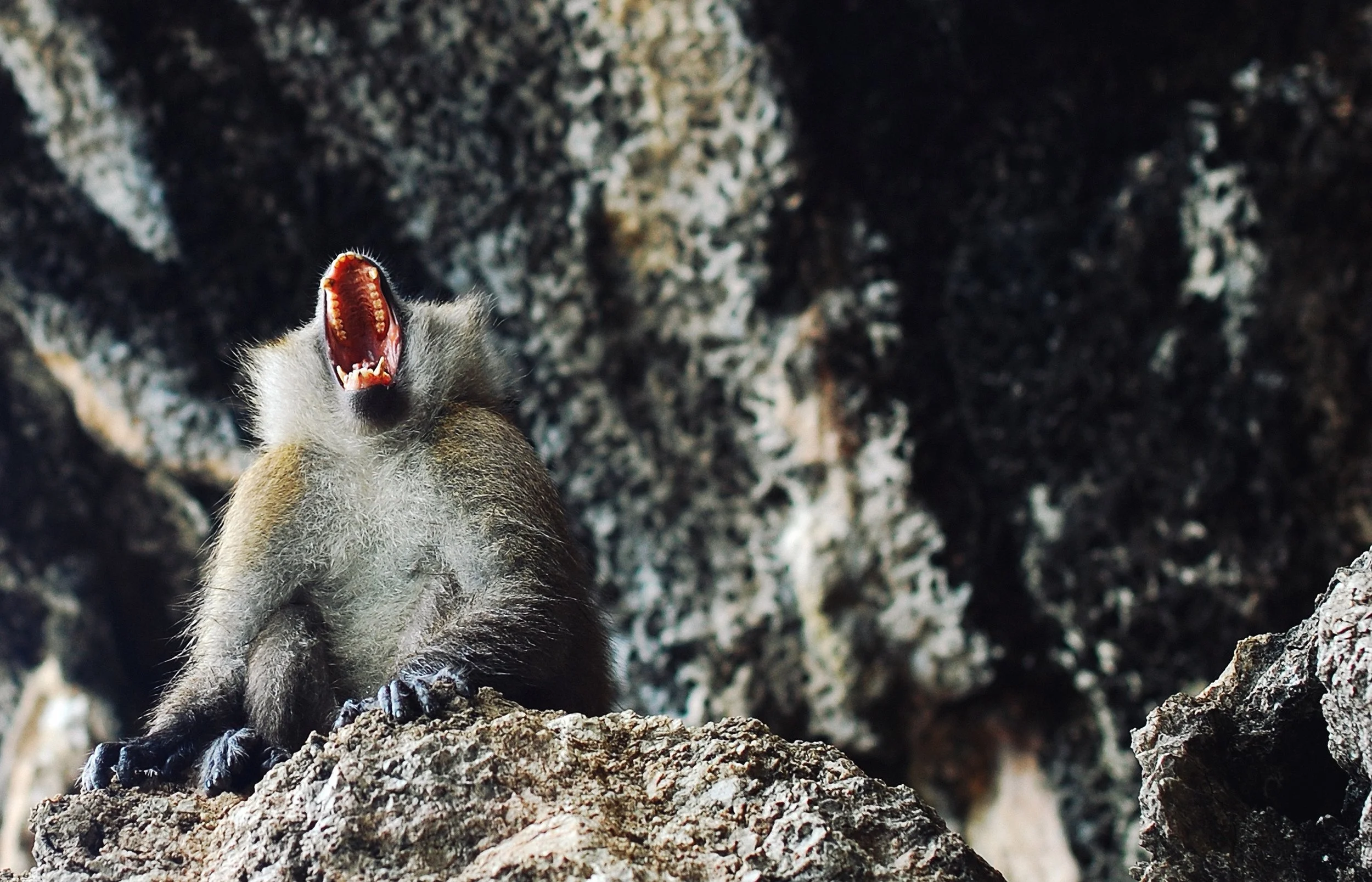 How do you deter, prevent, and deal with the problems from unexpected interruptions? You could scream about it. Or...