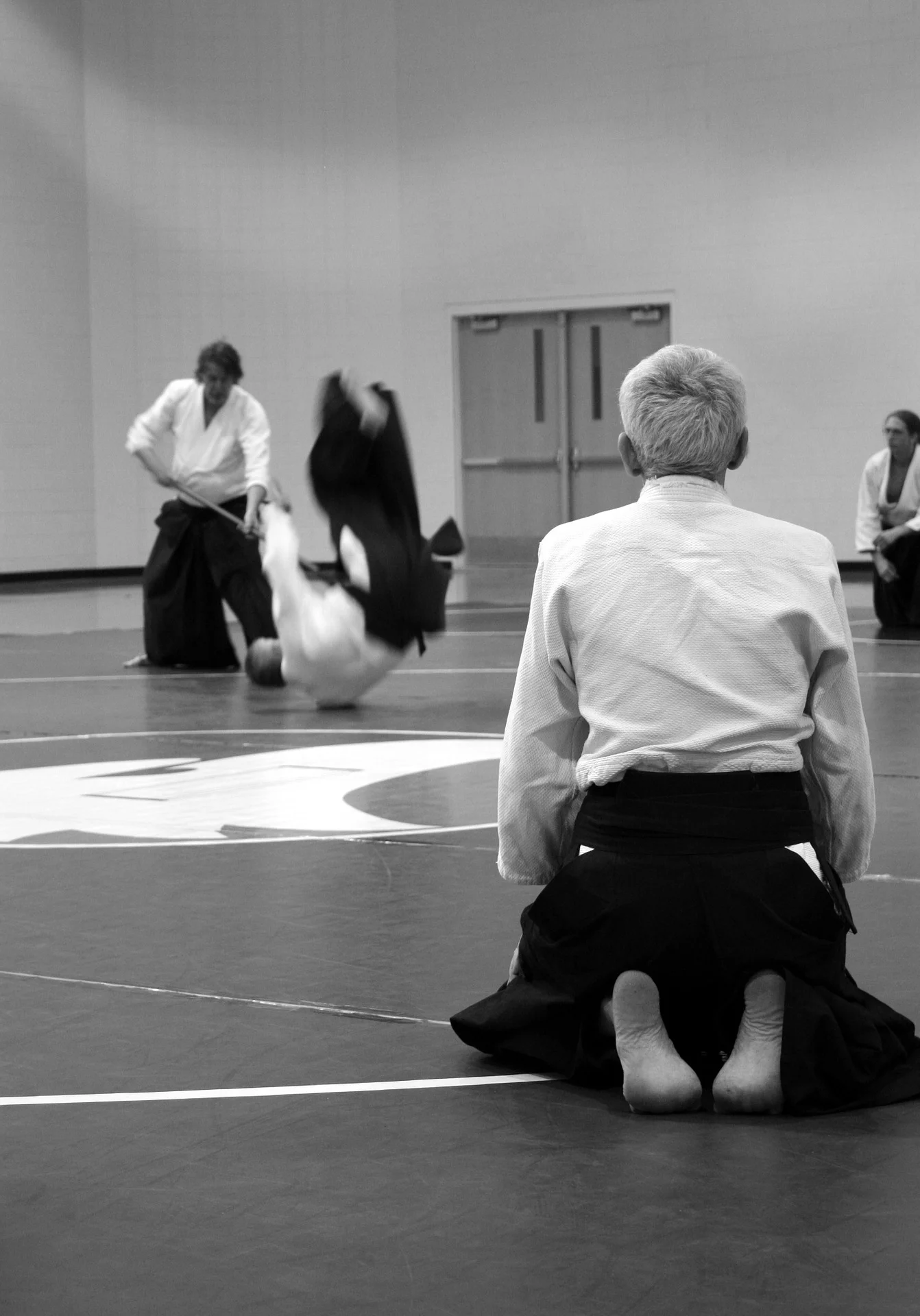 aikido-force.jpg
