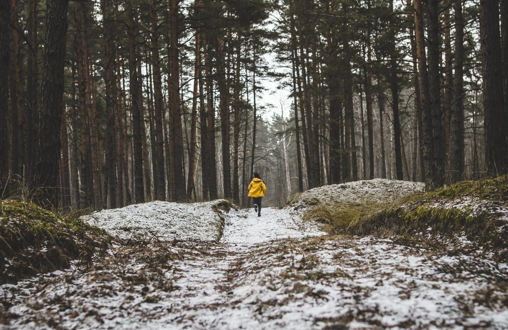 madara-parma-614109-unsplash.jpg