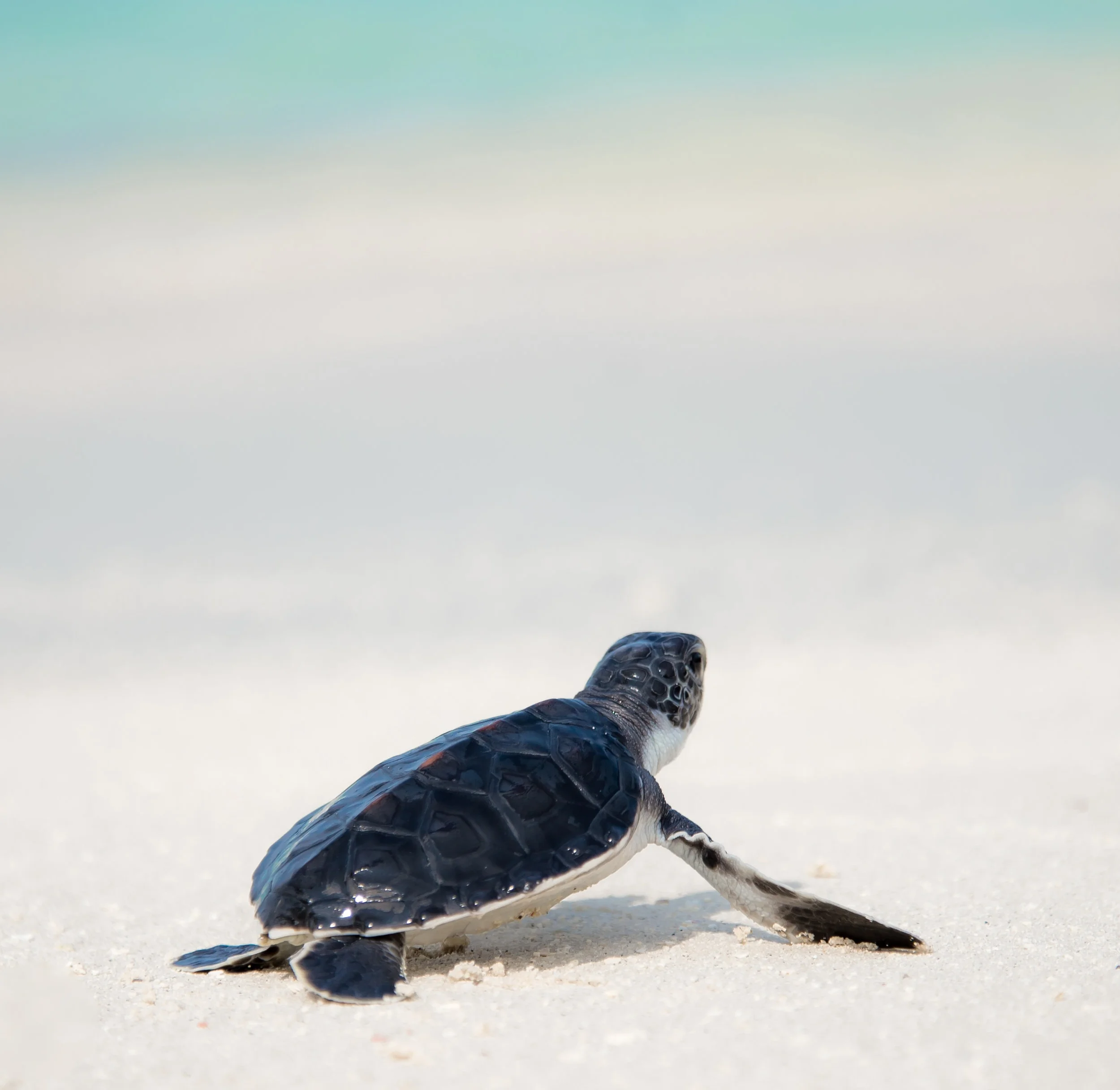 The Only Two Things You Need to Focus On What Matters