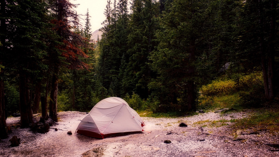 11 Ways Camping Can Help Your Productivity