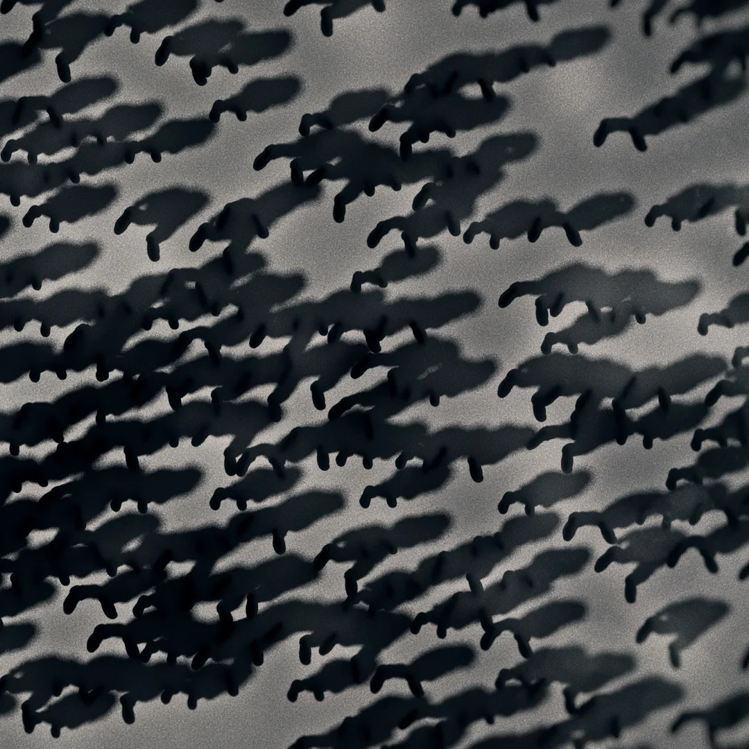 Random_2_Crowd_Shadows_003_AngleTweak_Brighter.jpg