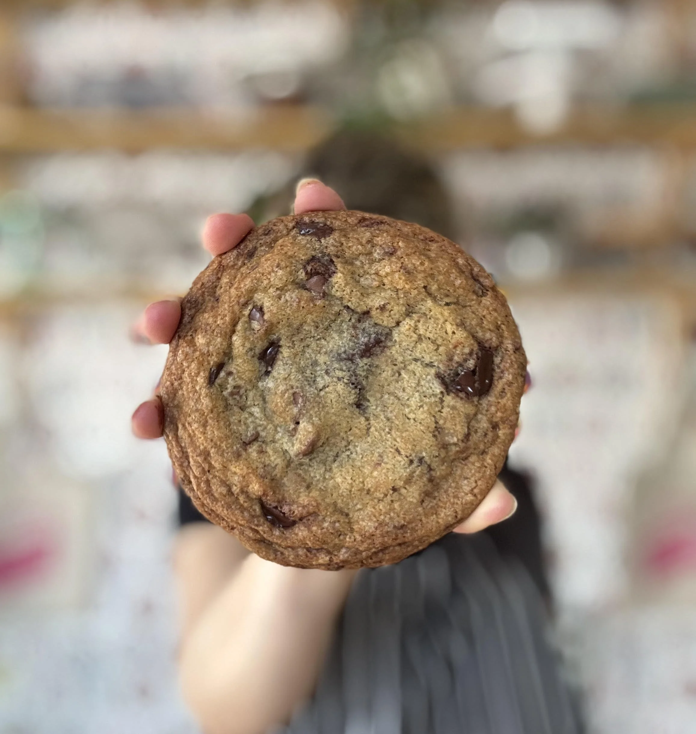 chocolate chip cookie(1).jpg