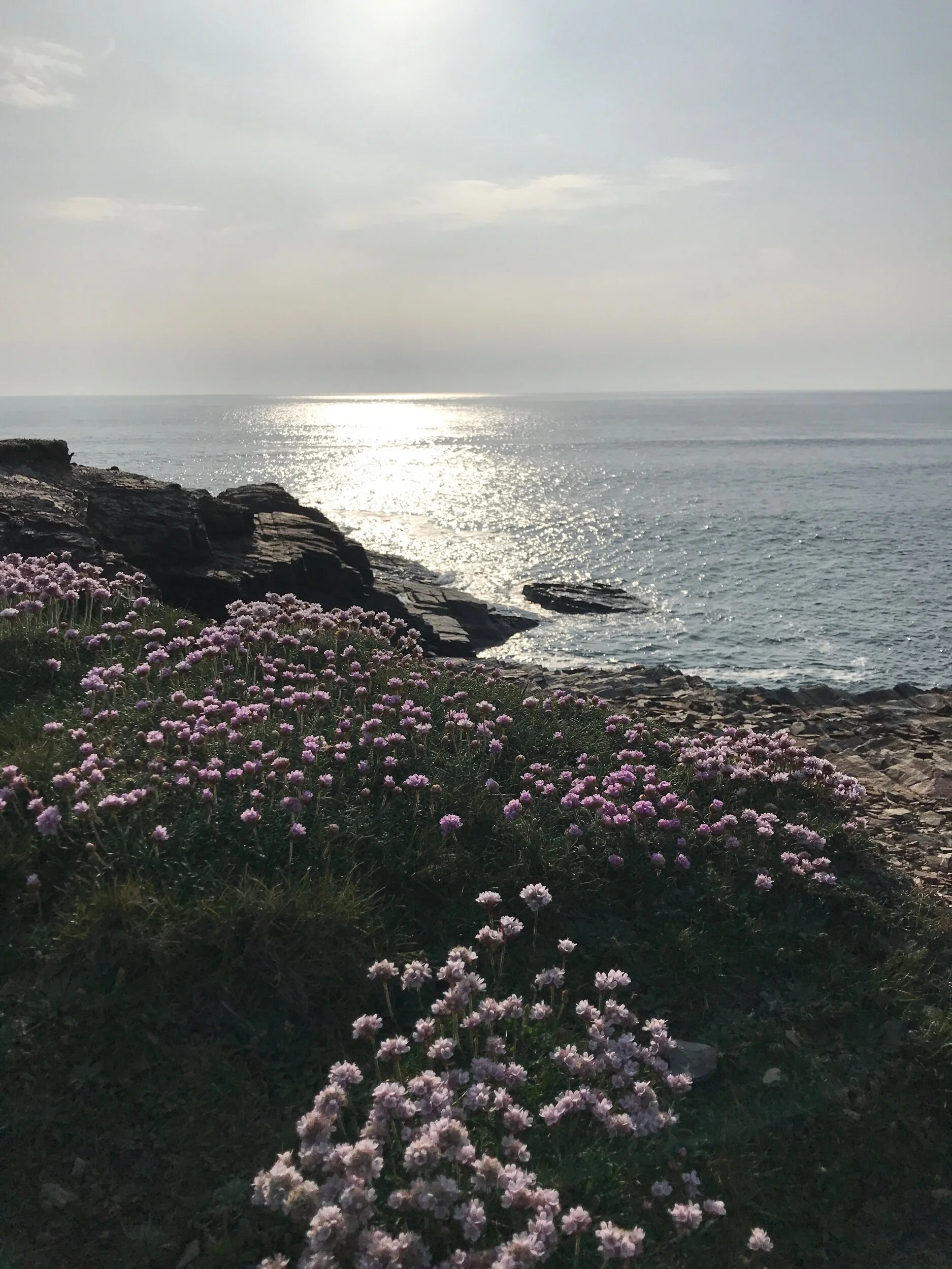 Lou's Postcards from...Padstow