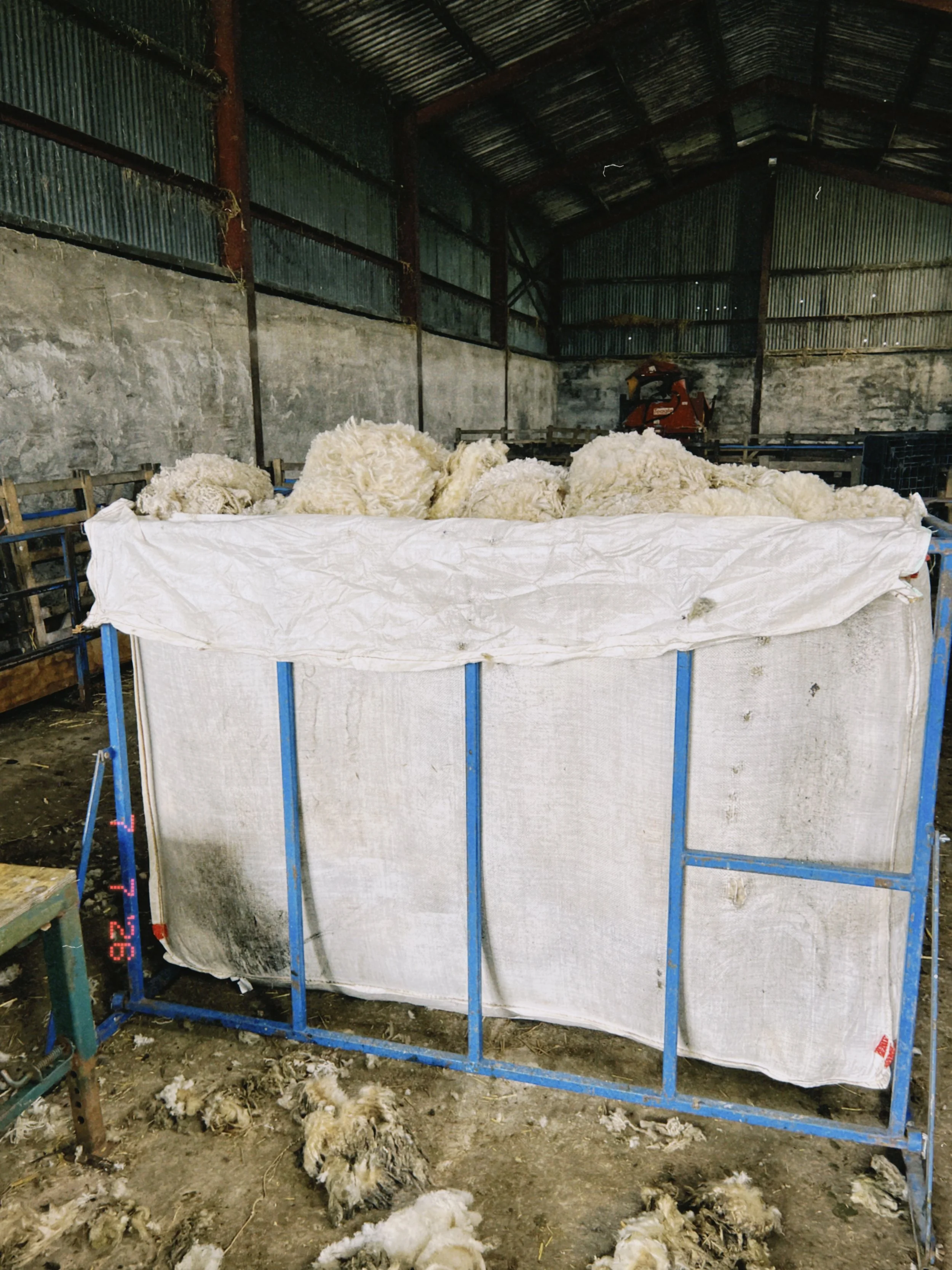 A big pile of British wool sheep clippings from a shearing.