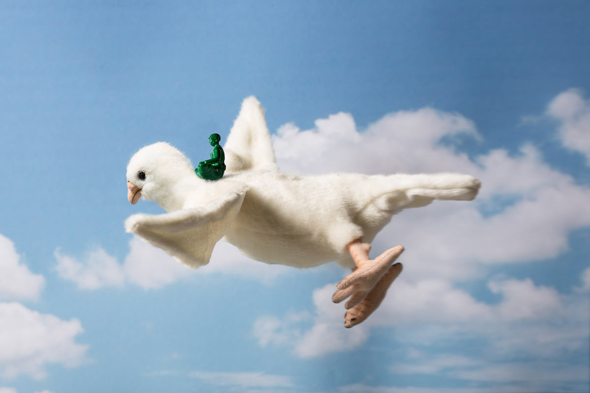 Bird2.jpg