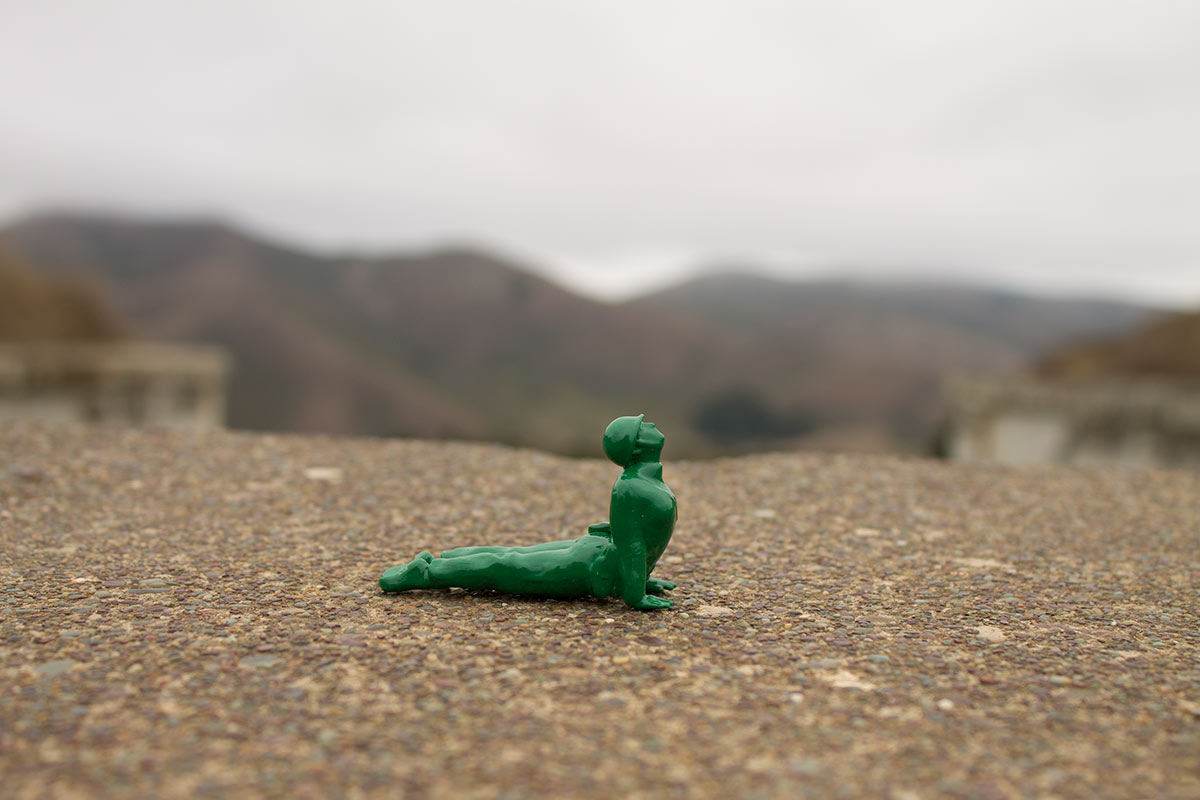 YJ_marinheadlands_cobrapose1.jpg