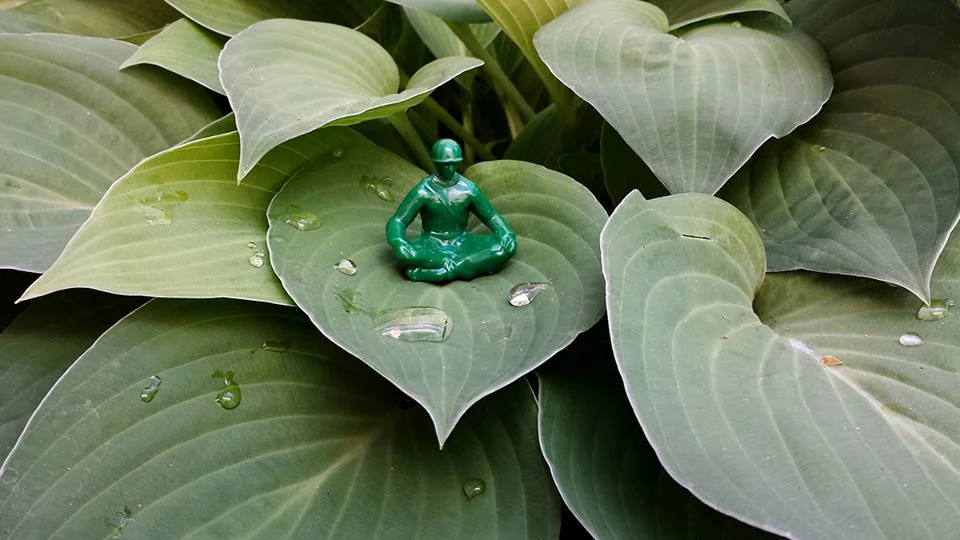 meditaition_leaf_noname.jpg