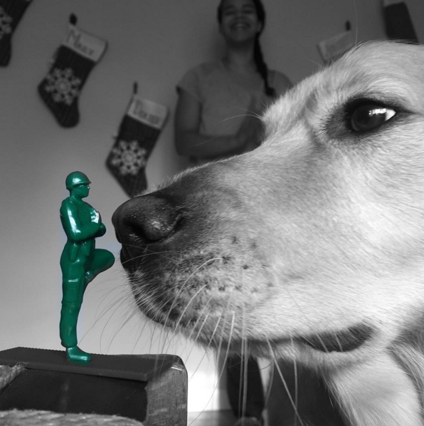 @yogi.dog.lady