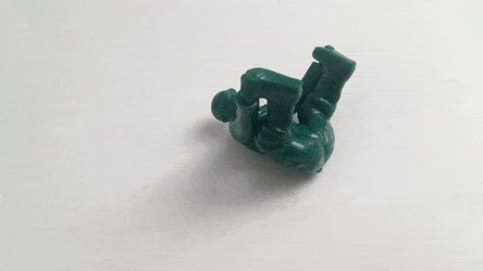 ElasticJollyAdamsstaghornedbeetle-size_restricted.gif