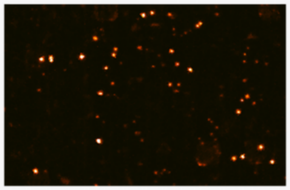 IRIS Hotspot image of an entire module.