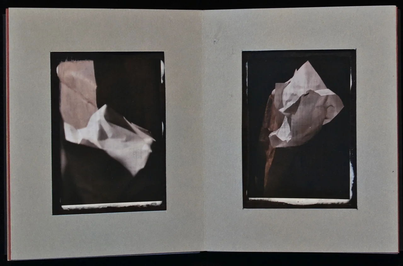   "Beauty of Black ", My Garbage series  page 3 &amp; 4, DETAIL  Accordion book, including four inkjet prints hand stenciled with opaque white substrate on black paper 