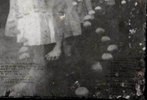 Detail 7