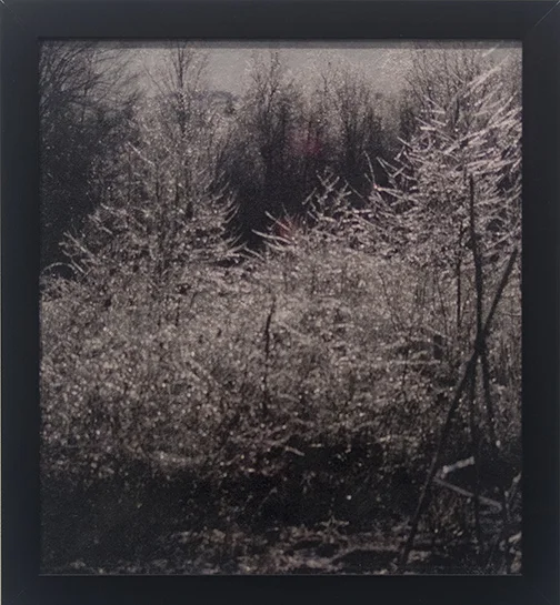   Storm 2009, 1   size? Archival pigment print on tarlatan, hand applied precoat with silver mica and acrylic. 