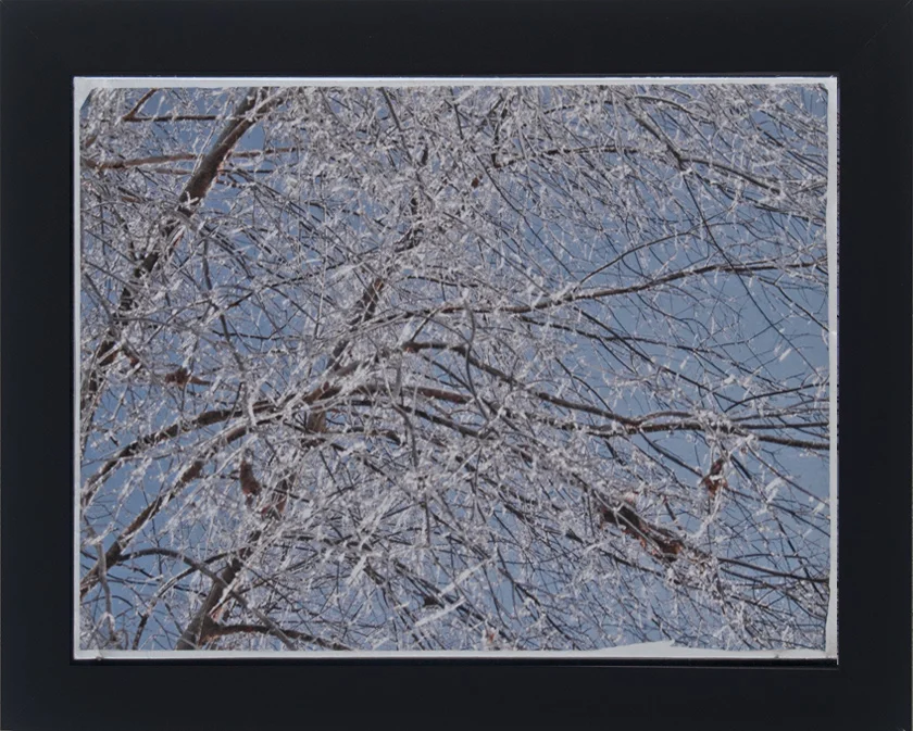   Storm 2009, 4   size? Archival pigment on silver mylar, hand applied precoat with white wash and acrylic.     private collection 