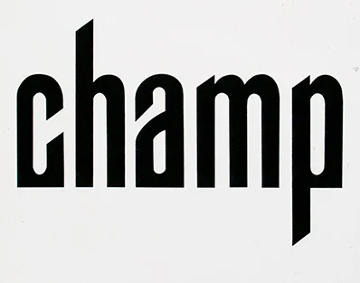 Type design  Hand drawn with ruling pen and bezier curved ruler 