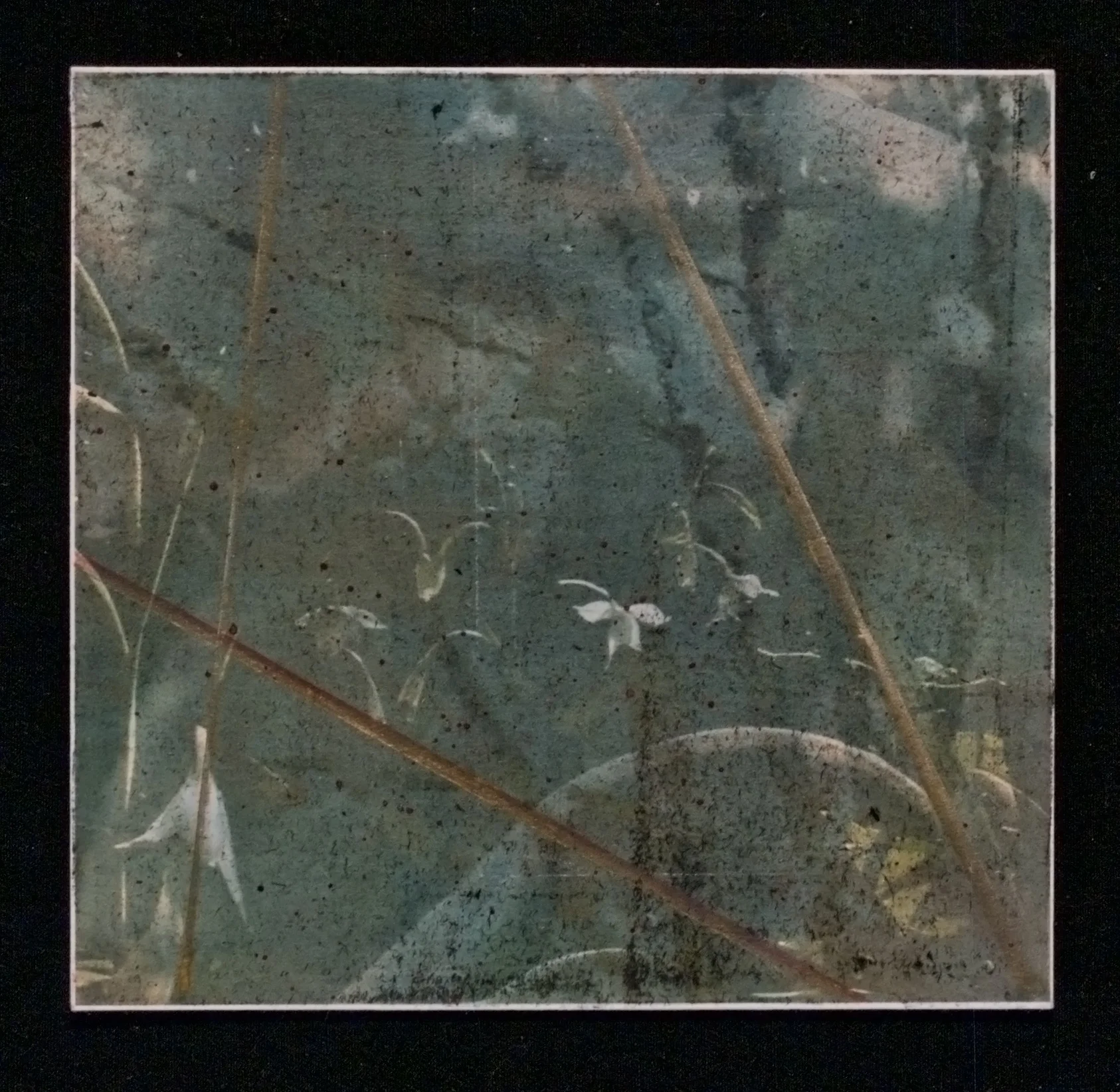  "Life’s Layers II"     5” x 5"  pigment inkjet, pencil and ink 